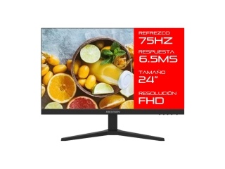 Monitor HIKVISION DS-D5024FN10 24 75Hz 6.5Ms FHd 1080p E-Led Hdmi Vga Montaje Vesa 100 x 100